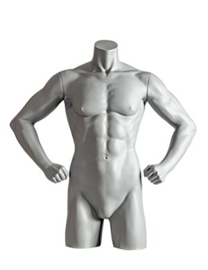 Impulse Torso