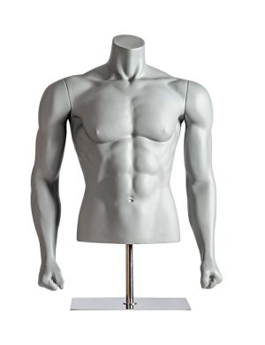 Impulse Torso